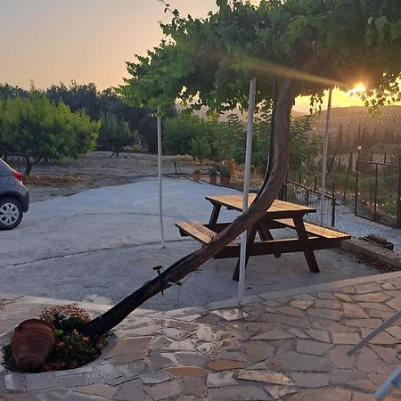 Andria Βίλα Περιστερώνα Εξωτερικό φωτογραφία